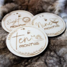 houten mijlpaalkaarten, mijlpaal schijven, maandelijkse foto baby accessoires