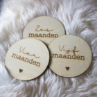 maandelijkse foto baby accessoires, houten mijlpaalkaarten, mijlpaal schijven