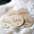 maandelijkse foto baby accessoires, houten mijlpaalkaarten, mijlpaal schijven